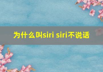 为什么叫siri siri不说话